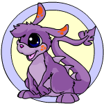 Purple Zafara