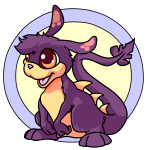 Purple Zafara