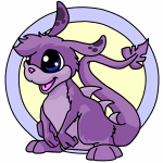 Purple Zafara