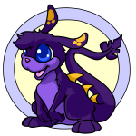 Purple Zafara