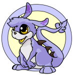 Purple Zafara