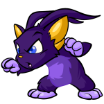 Purple Acara