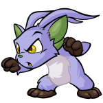 Purple Acara