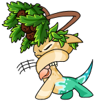 Island Aisha