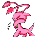 Pink Aisha