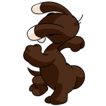 Brown Blumaroo
