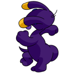 Purple Blumaroo