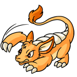 Orange Bori