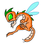 Orange Buzz