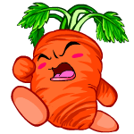 Carrot Chia