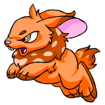 Orange Cybunny