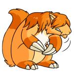 Orange Dirego