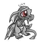 Grey Draik