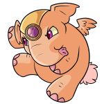 Orange Elephante