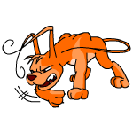 Orange Gelert