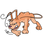 Orange Gelert
