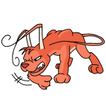 Orange Gelert