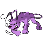 Purple Gelert