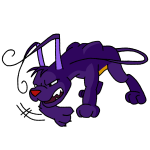 Purple Gelert