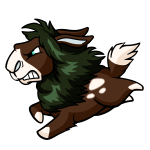 Brown Gnorbu