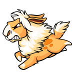 Orange Gnorbu