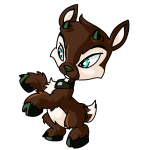 Brown Ixi