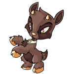 Brown Ixi