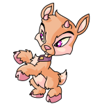 Orange Ixi