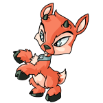 Orange Ixi