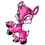 Pink Ixi
