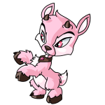 Pink Ixi