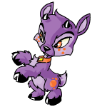 Purple Ixi