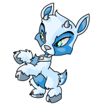White Ixi