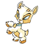 White Ixi