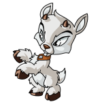 White Ixi