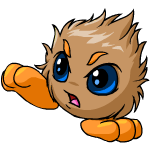 Brown Jubjub