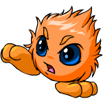 Orange Jubjub