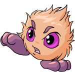 Orange Jubjub