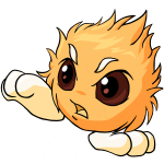 Orange Jubjub
