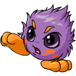 Purple Jubjub