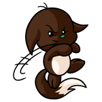 Brown Kacheek