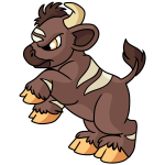 Brown Kau