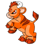 Orange Kau
