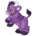 Purple Kau