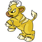 Yellow Kau