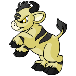 Yellow Kau