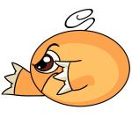Orange Kiko