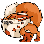 Orange Kitzen