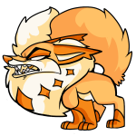 Orange Kitzen