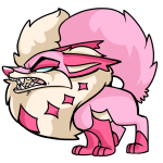 Pink Kitzen